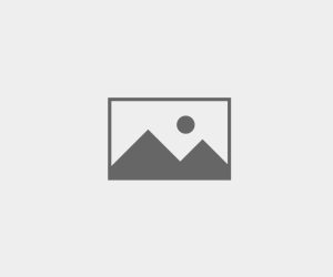 demo-car-img